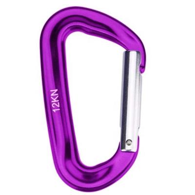 China Water Treatment Swings Camping Raising Carabiner Single Hook Aluminum Carabiner Main Clip for sale