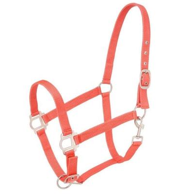 China Custom Logo Soft Padded Solid Brass Western Adjustable Metal Hardware Nylon Goods Saddle Horse Halter for sale