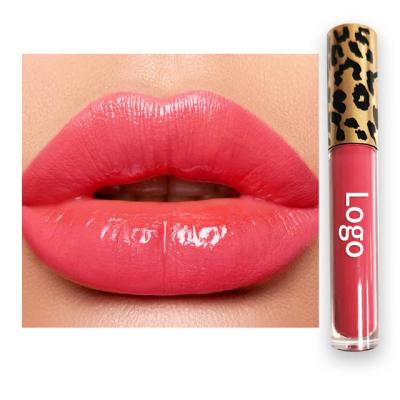 China Vegan Nude Liquid Matte Lip Gloss Clear Custom Wholesale Waterproof Logo Private Label Organic Tinted for sale