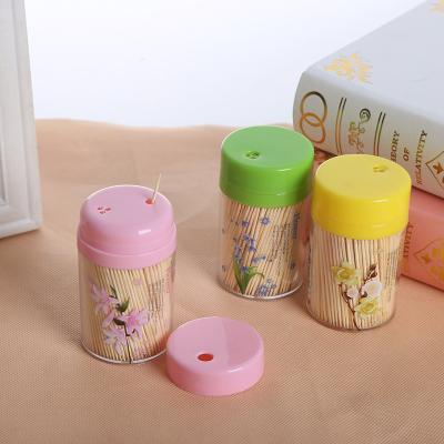 China Disposable Best Seller Person Packed Wooden Toothpick With Plastic Toothpick Dispenser for sale