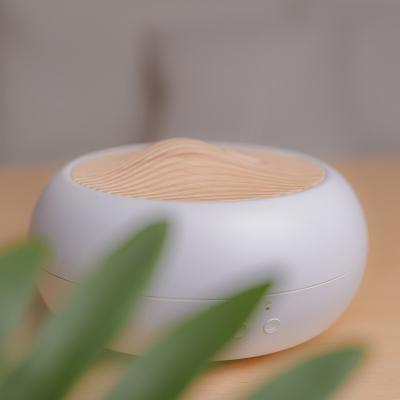 China Unique Household Greenhouse Small Portable Ultrasonic Humidifier for sale