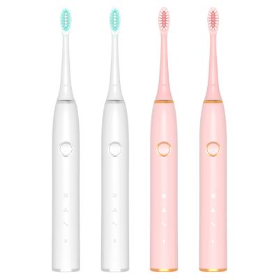 China Sunwinon K024-y3 Battery Operated Adult Hot Sale Cheap Rotating Electric Toothbrush for sale