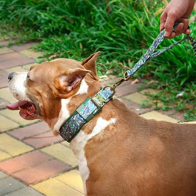 China Custom Goods for Medium and Large Tactical Dog Collar with D-ring Nylon Dog Collar for sale