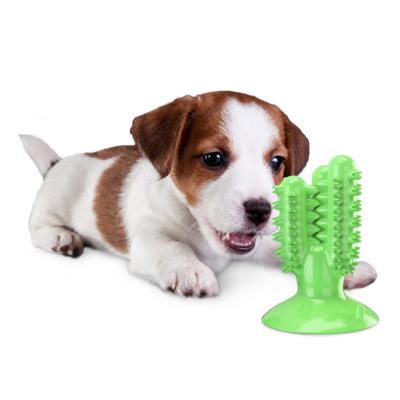 China Custom Viable Chew Toy Cactus Pet Chew Vent Toy Molar Tooth Cleaning Chew Toy For Pet Dogs for sale