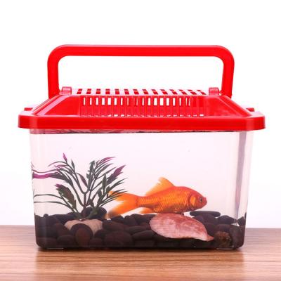 China Viable Transparent Portable Plastic Reptile Tank Turtle Bowl Goldfish Feeding Box for sale