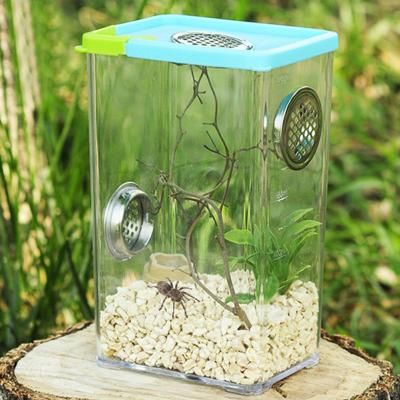 China Breathable Clear Acrylic Plastic Cage Reptile Mantis Prayer Box Reptile Breeding Acrylic Reptile Breeding Box for sale