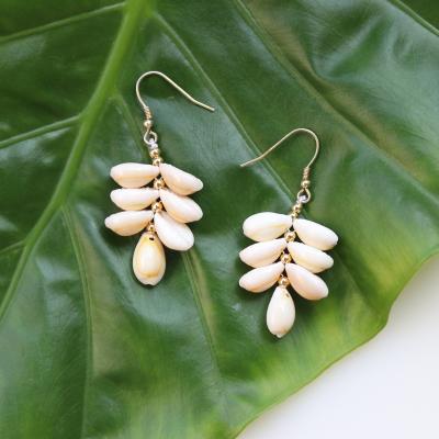 China Cute Handmade Cowrie Shell Beads Earrings Natural Shell and Conch Jewelry Beach Wedding Holiday Jewelry Gift for sale