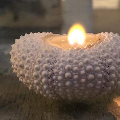 China Birthdays Custom Handmade Natural Sea Urchin Aromatherapy Candle for Wedding Coastal Home Decor Craft Seashells for sale