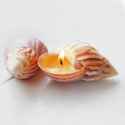 China Handmade Natural Birthdays Custom Shell Aromatherapy Candle for Wedding Coastal Home Decor Craft Seashells for sale