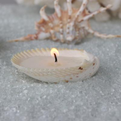 China Large Custom Shell Birthdays Handmade Natural Shell Aromatherapy Candle For Wedding Decor Coastal Home Decor Craft Seashells for sale