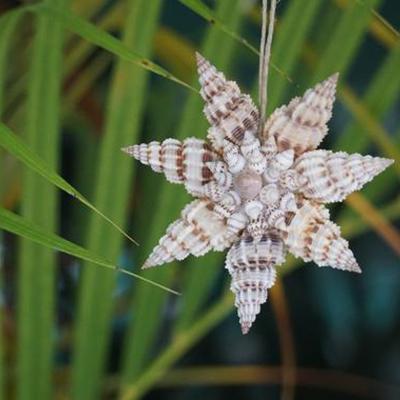 China Beautiful Nautical Shell Christmas Pendant &Drop Ornaments Shell&Conch DIY Party Natural Handmade Decor for sale