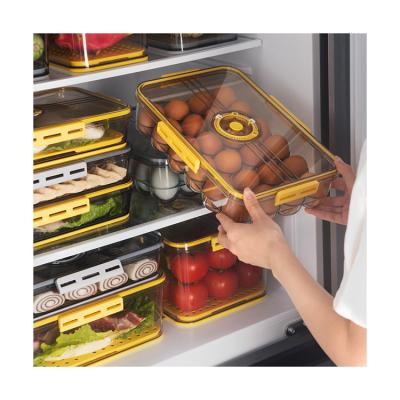 China Freshness Preservation Refrigerator Storage Box Storage Box PET Special Timing Frozen Drain Plastic Transparent Thickened Fresh-preservation Box For Refrige for sale