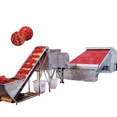 China New Designs And High Efficiency Technology For Thousand Tons Dry Red Chilli Cut Pepper Processing Line for sale