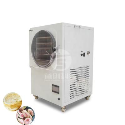 China Freeze-Dryer Freeze Dryer Machine 1 Package Set Door-to-Door Transport Machine / Commerical Food Processing Lyophilizer / Vacuum Drying Machine for sale