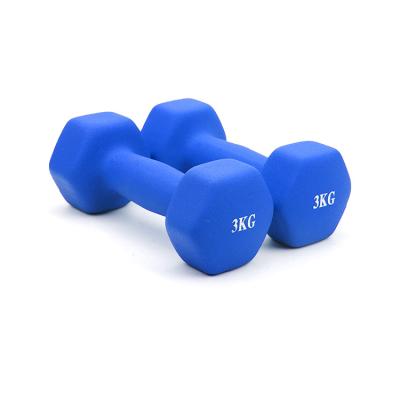 China Factory Price Durable Fitness Dumbbells Set Small Dumbbell Flat Head Dull Polish Dip Plastic Dumbbell for sale