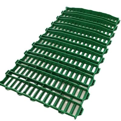 China Plastic Farms Slat Flooring For Goat Sheep Manure Leakage Floor Sheep Farm Plastic Slat Flooring for sale