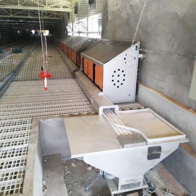 China Easily Install / Chicken Place Free Range Poultry Farm Feed Backup Equipment For Sale Chicken Feeding And Drinking System for sale