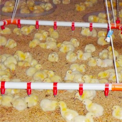 China High Sensitivity Water Saving Poultry Nipple Chicken Drinking System for sale