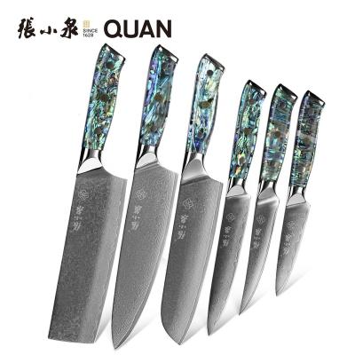 China Viable Factory Price Damascus Professional Kitchen Knives Set 67 Layers VG10 Damascus Steel Japanese Chef Knife Knives for sale