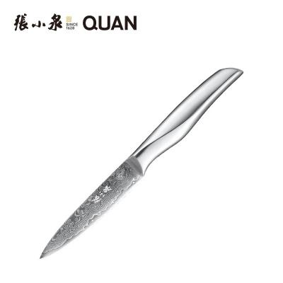 China Sustainable Hot Popular Damascus Vg10 Steel 4 Inch Kitchen Serving Knife With Stainless Steel Handle for sale