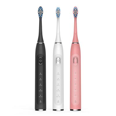 China 2 Minute Timer 50160 VPM IPX7 Adult Use Waterproof Electronic Electric Toothbrush for sale