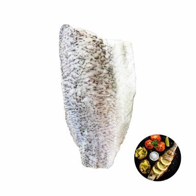 China High Quality Vitamin Brands Sea Bass Barramundi Fish For Pan Frying Cooking for sale