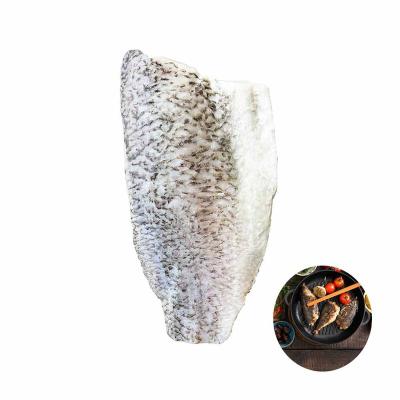 China Frozen Vitamins Hot Sales Barramundi Fillet Fish For Cooking With Pan Frying for sale