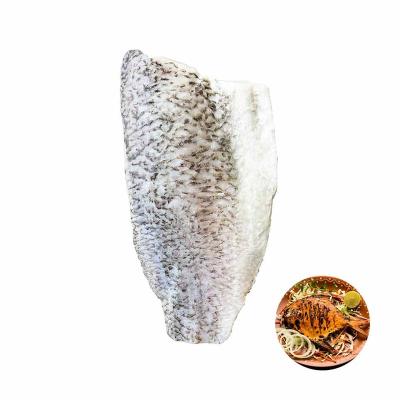 China Frozen Vitamins Taiwan Sea Bass Barramundi Fish Headband for Frying Pan Cooking for sale