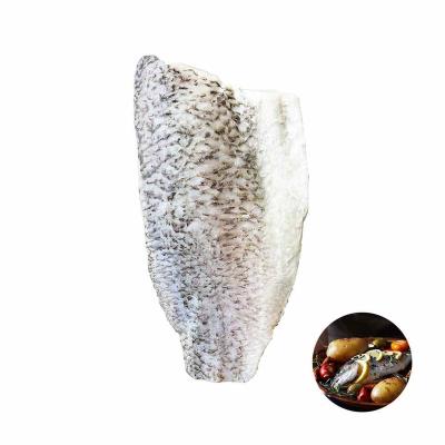 China Vitamins hot sales frozen sea bass barramundi fillet for pan frying cooking for sale