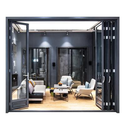 China Exterior Double Sided Bi Fold Heat Insulation Doors Glass Door Folding Door for sale