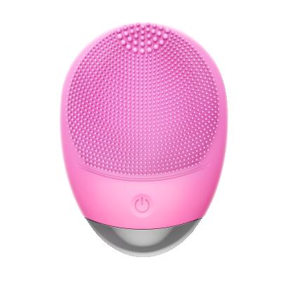 China Acne Treatment Factory Price Facial Cleansing Brush Sonic Facial Rechargeable Massager for sale