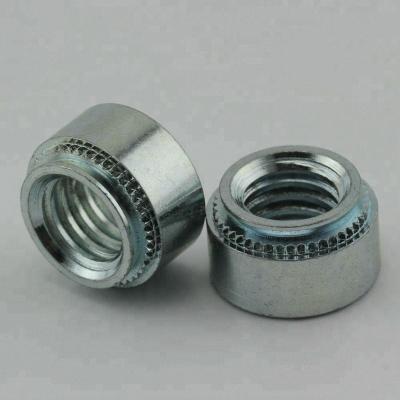 China Factory Made Heavy Industry OEM M3 M6 Galvanized Steel Press Nuts for sale