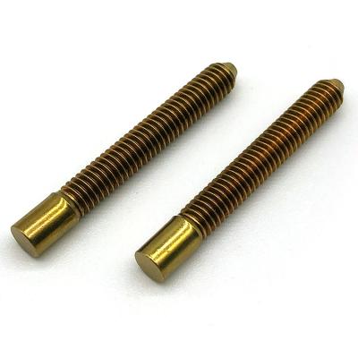 China Pan Factory Custom Various Type Brass Screw Without Slot for sale