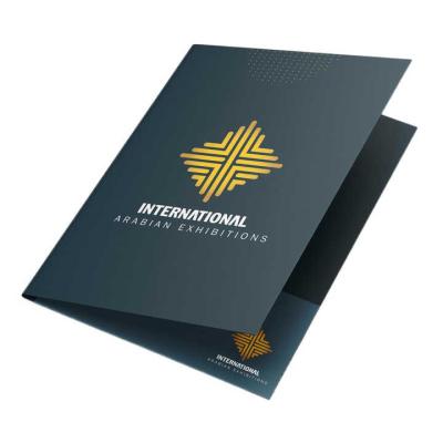 China Healthcare Institutes Custom printed A5 A4 Company office business document presentation folder manufacturer printing single double pockets document for sale