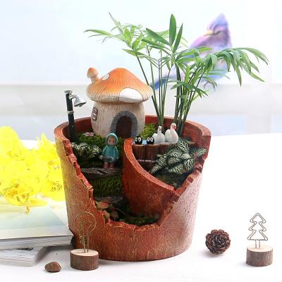 China Cute European Creative Moss Micro Succulent Landscape Pot Large Hanging Garden Resin Planter Pot for sale