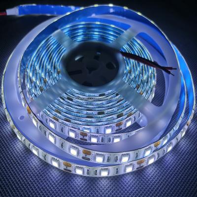 China 6500K COLD WHITE LANDSCAPE LANDSCAPE Lighting Factory CE RoHS 5050 12V 60LED High CRI Strip Lights Shenzhen CCT for sale