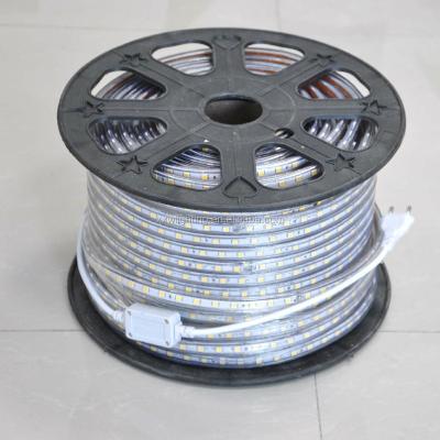 China High Quality LANDSCAPE SMD5050 RGB 60LEDs 100m Roll 220V Strip Rope Light for sale