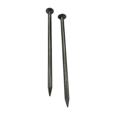 China In China Flat Wire Nails Manufacturer /Wire Nail Factory /Wire Common Nail with Price for sale