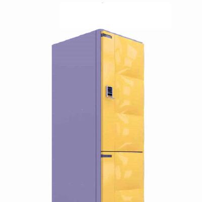 China New Style Mini Metal Door Cabinet Modern Simple Metal Locker Steel Locker for sale