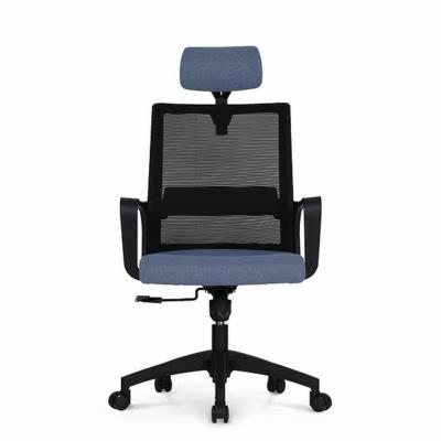 China (Size) Adjustable Swivel Mesh Fabric Black And Blue Cheap Plastic With Headrest Office Computer Chair for sale