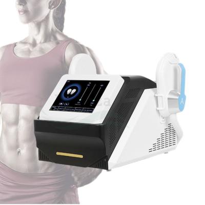 China High Quality HImet Body Belly Arm Weight Loss Emslim Machine Cellulite Massager EMS Weight Loss Massager EMS for sale