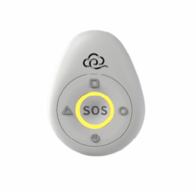 China SOS Program Customization OEM/ODM Anti Thief Motion Detection SOS Call Vigilant Smart Smoke Alert 4G For Anti Theft Customization for sale