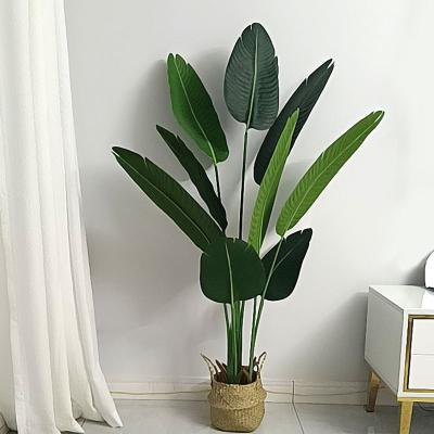 China Plant Minimalist Indoor Plastic Traveler Decoration Artificial Banana Tree for sale