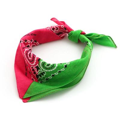 China 2021 Recyclable Eco - Friendly Wholesale Polyester Bandana 2 Piece Set Bandana for sale