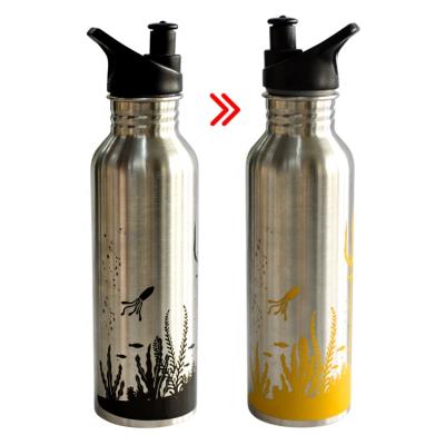 China New Outdoor Sports Sustainable Stainless Steel Water Bottle Custom Logo Aluminum Portable Sports Water Bottle for sale