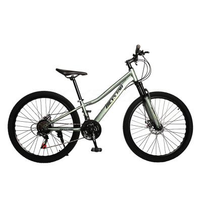 China Moutain Bicycle Mountain Bikes 21Inch 24Inch 27Inch Mountain Bike Travel Expedition Cyclists for sale