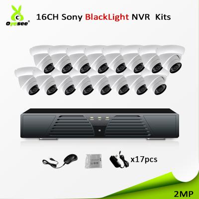 China Starlight/BlackLight 307 low illumination 1080P 16 channels super dome Sony blacklight h.265+ starvis camera set ip camera system kits for sale