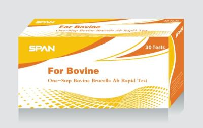 China One-Step Bovine Brucella Ab Test for sale