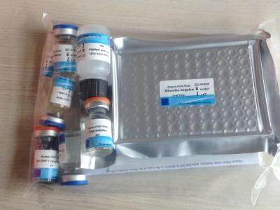 Chine Interleukin humain 12 (IL-12) ELISA Kit, 96T/Kit à vendre