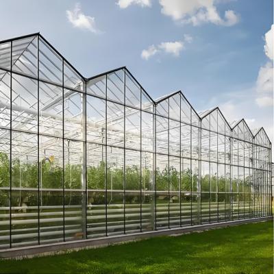 Cina Tempered 4mm Greenhouse Glass for Agriculture for Exporting in vendita